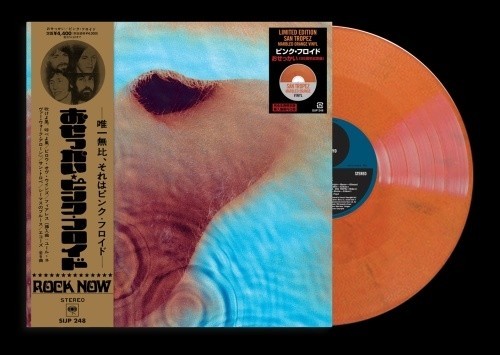 Pink floyd meddle orange - floyd,